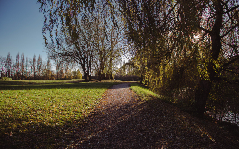 whalley-field-1