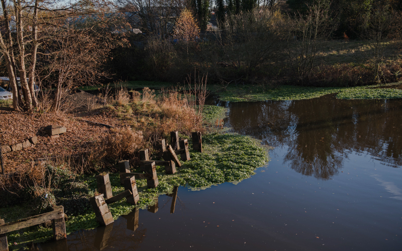 river-weaver-1