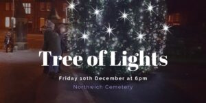 tree of lights northwich